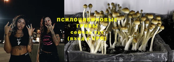 хмурый Дмитровск