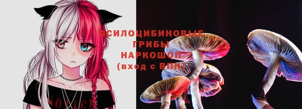 каннабис Дмитров