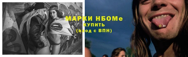 хмурый Дмитровск