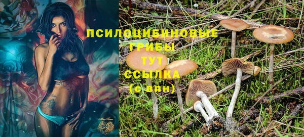 каннабис Дмитров