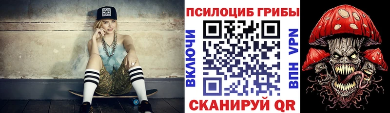 Псилоцибиновые грибы мухоморы  OMG ONION  Гусев  купить наркоту 