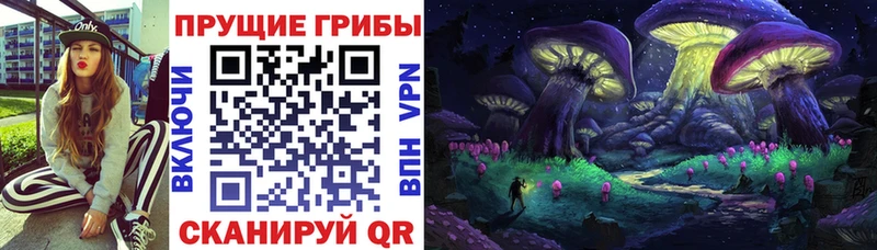 Псилоцибиновые грибы GOLDEN TEACHER Гусев