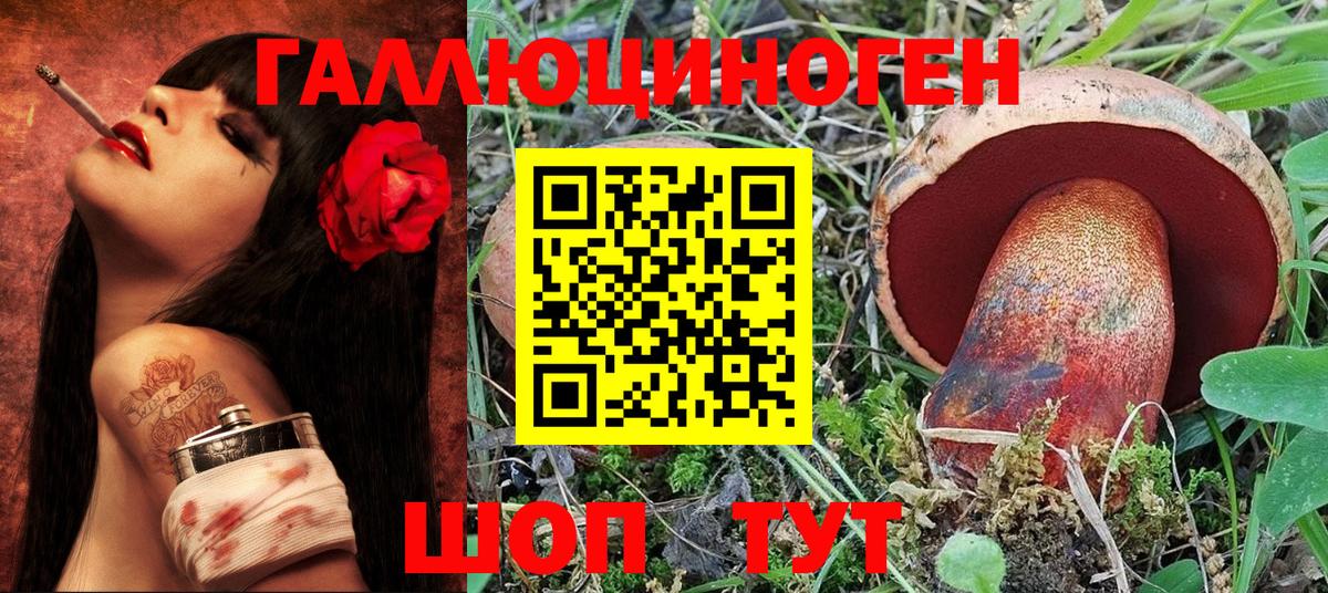 Псилоцибиновые грибы GOLDEN TEACHER Гусев