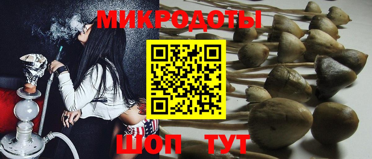 Псилоцибиновые грибы Psilocybine cubensis  Галлюциногенные грибы Psilocybine cubensis  Вход с VPN  Гусев 