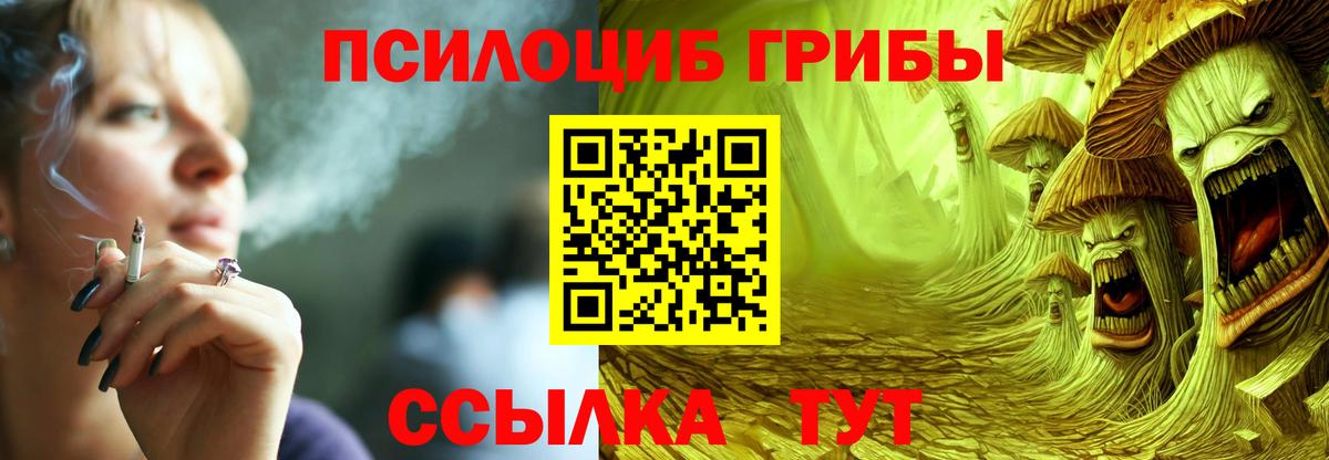 Галлюциногенные грибы Cubensis Гусев